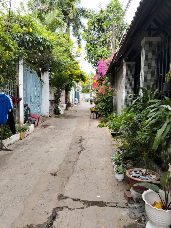 Đất nền Vườn Dừa, Phường Phước Tân, Biên Hòa, 100m² - Giá chỉ từ 100 triệu VND!