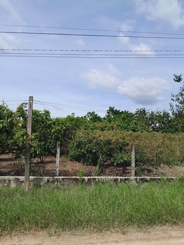 Đất thổ cư 225m² tại Hẻm 9 Trường Đông, Tây Ninh - Giá chỉ 500 triệu!