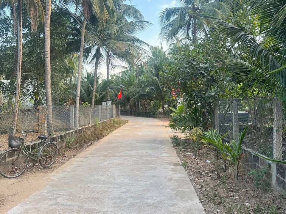 Đất thổ cư Hoài Hảo 80m² giá chỉ 4xx triệu - Đầu tư sinh lời ngay!