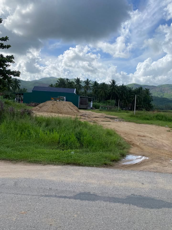 Đất thổ cư Hoài Nhơn Tây 150m² giá chỉ 550 triệu - Cơ hội đầu tư hấp dẫn!