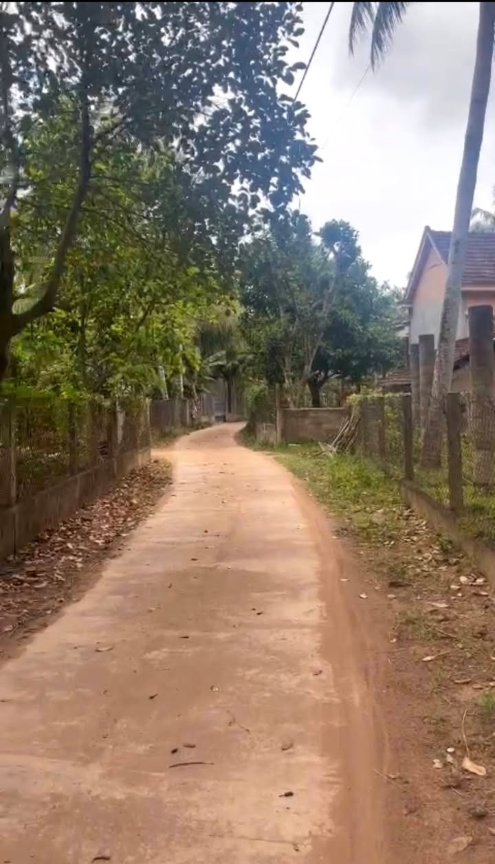 Đất nền Hoài Nhơn 145m² giá 300 triệu - Đầu tư sinh lời lý tưởng!