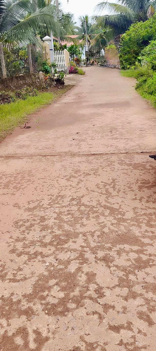 Đất thổ cư 162m² đường Phạm Thị Đào, Hoài Thanh chỉ 500 triệu - Cơ hội đầu tư sinh lời!