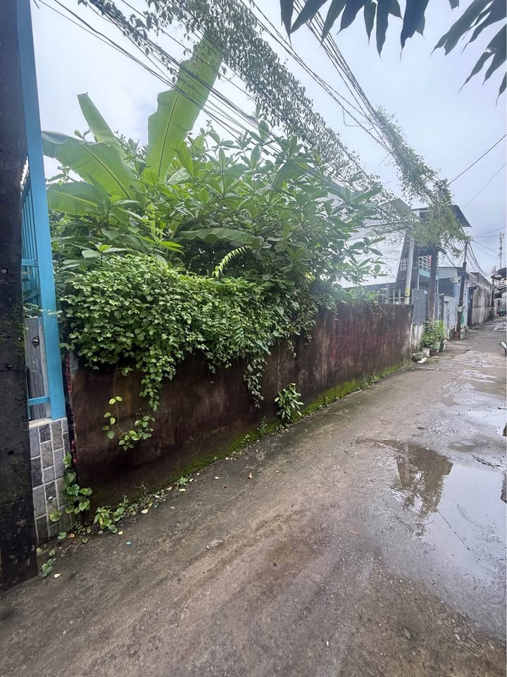 Đất nền Phường 9 Cà Mau 128m² giá 700 triệu - Cần ra gấp!