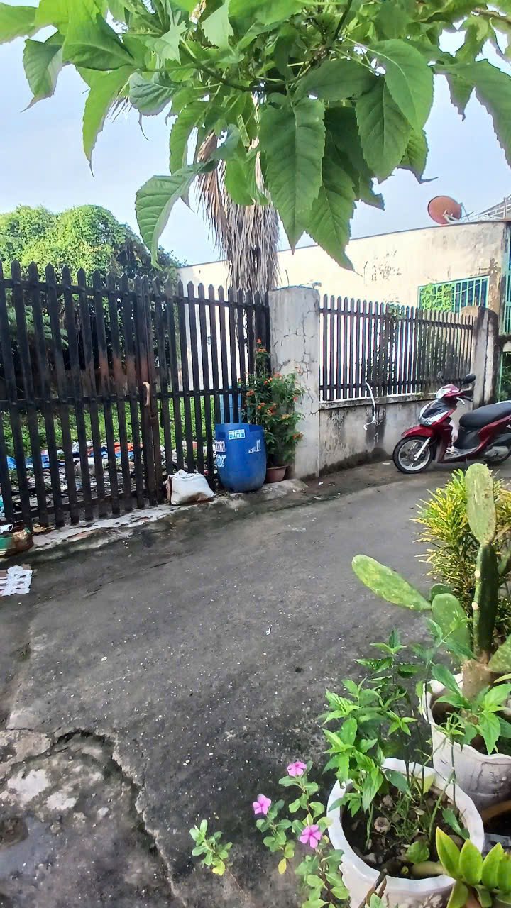 Đất thổ cư Hóc Môn 96m² giá 3.1 tỷ - Xây dựng tự do ngay!