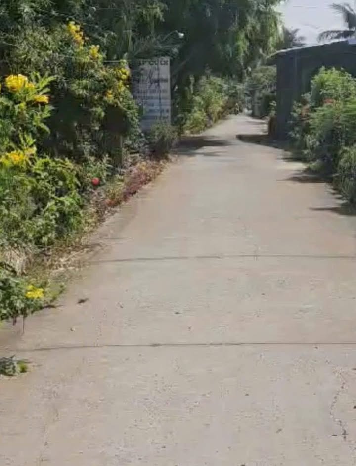 Đất nền mặt tiền Ấp Tân Hòa, xã Tân Hội, 200m² giá 500 triệu - Thích hợp đầu tư!