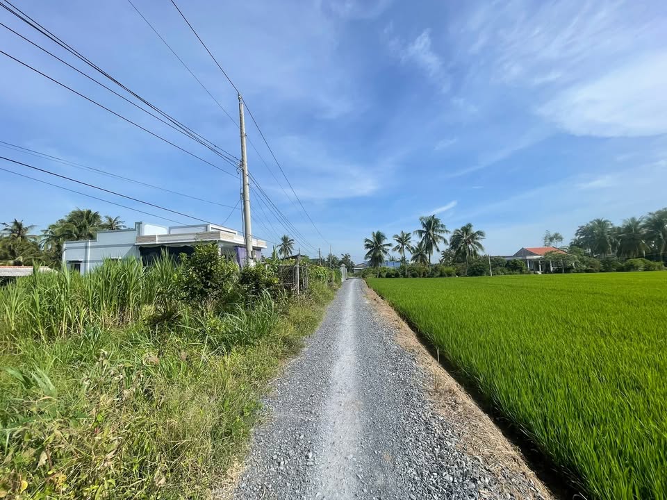 Đất 500m² xã Bình Phú, huyện Gò Công Tây, Tiền Giang - Giá chỉ 650 triệu!