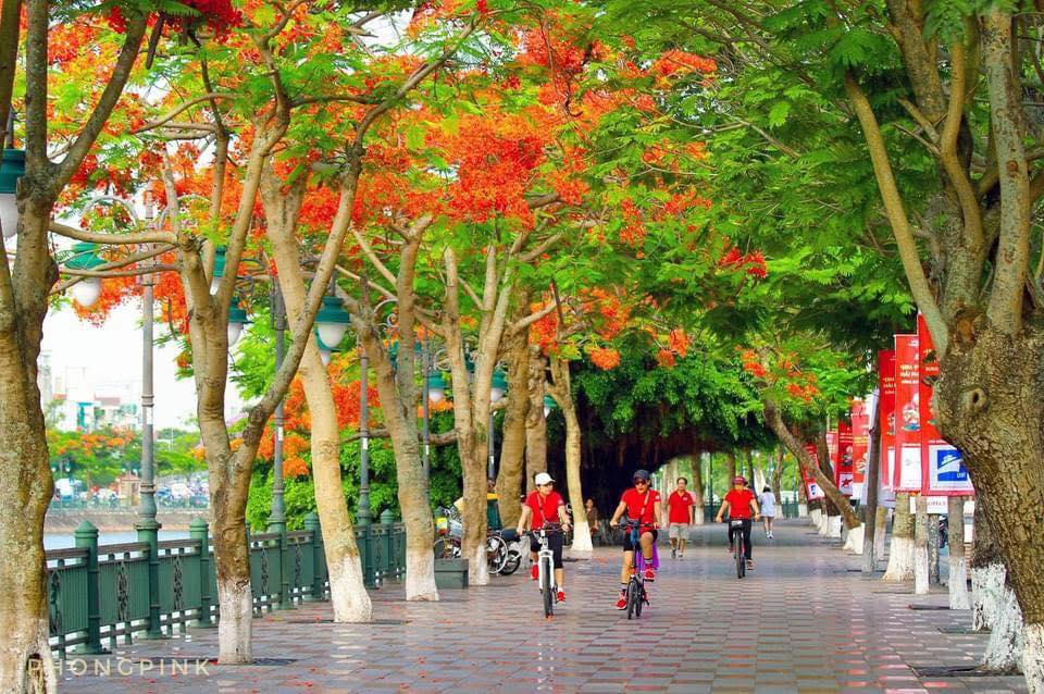 Lô đất mặt đường Tam Bạc, Hải Phòng 92m² giá 18 tỷ - View Sông Tam Bạc