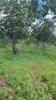 Đất nền Phú Văn Bù Gia Mập 3ha giá 6.5 tỷ - Cơ hội đầu tư tuyệt vời!