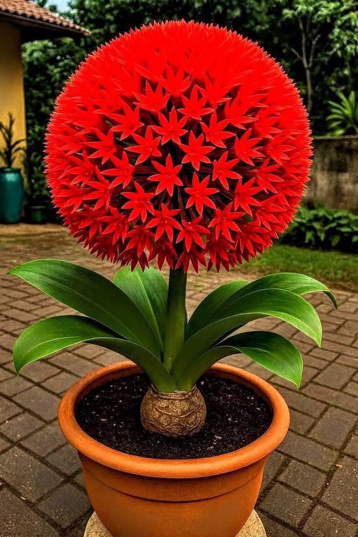 Đất nền Nghi Xuân 150m² giá 1.5 tỷ - Vị trí đắc địa không thể bỏ qua!