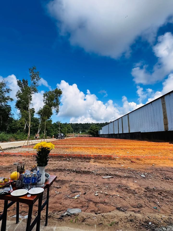 Đất nền Búng Gội, Phú Quốc 100m² giá 1.55 tỷ - Đầu tư sinh lời ngay!