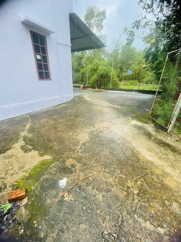 Đất nền lô góc đường Long Đại, 75m² - Giá hấp dẫn, sẵn sàng đầu tư!