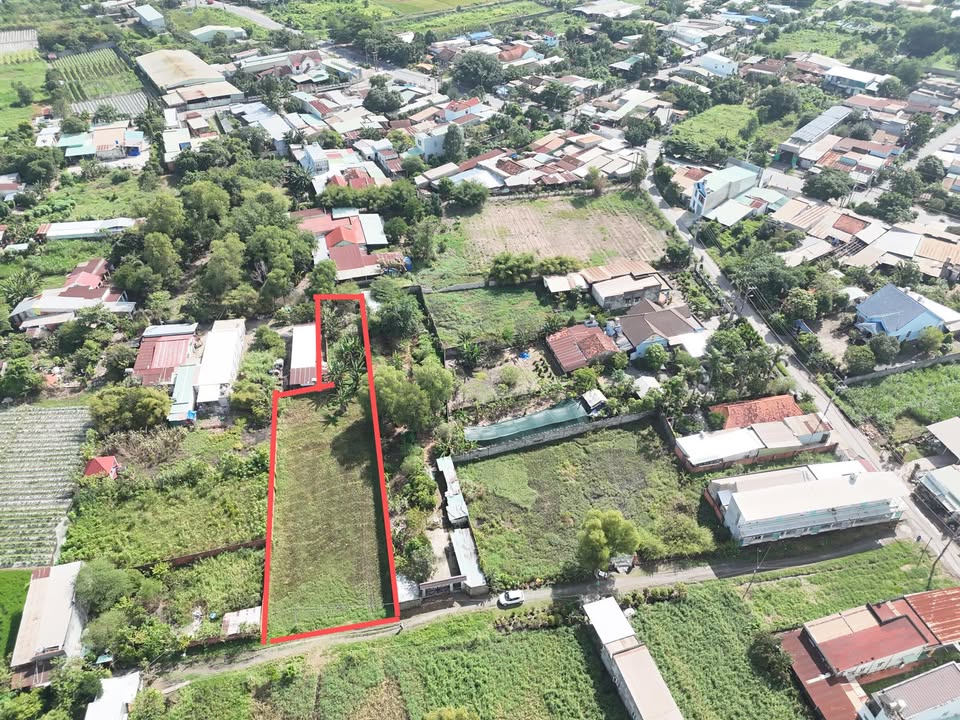 Đất nền Hòa Phú, Củ Chi 1500m² giá 6.5 tỷ - Cơ hội đầu tư hấp dẫn!