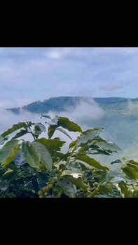 Đất nền 1ha tại Xuân Trường, Đà Lạt - Giá 10 tỷ, View ngắm mây tuyệt đẹp!