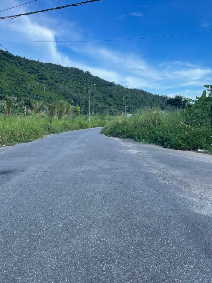 Đất nền Sơn Trà Đà Nẵng 223m² giá 8.8 tỷ - Nhanh tay sở hữu!