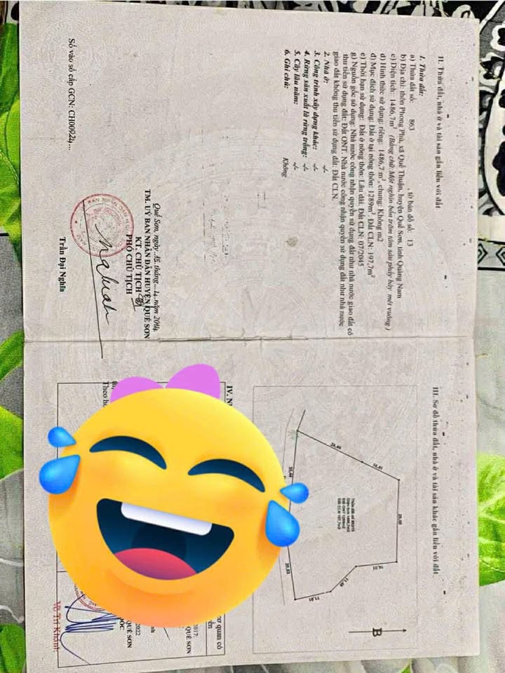 Đất nền Quế Thuận, Quế Sơn 1486m² - Cơ hội đầu tư sinh lời!