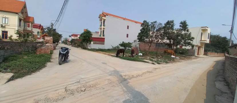 Lô đất giãn dân Phù Lãng 100m² giá thỏa thuận - Đường lớn thông thoáng gần KCN Quế Võ 3!