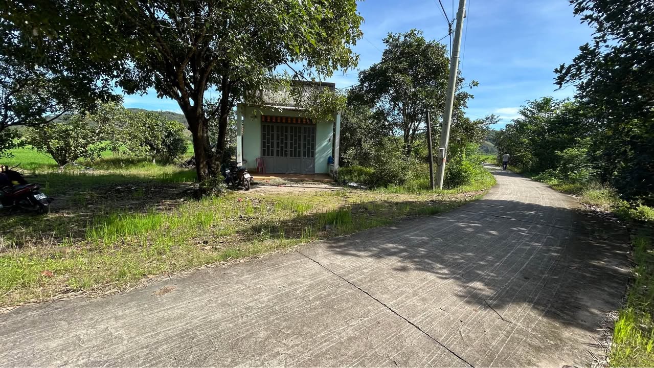 Đất mặt tiền bê tông 1 mẫu 3 tại Phú Vinh - Chỉ 1 tỷ, cơ hội đầu tư tuyệt vời!