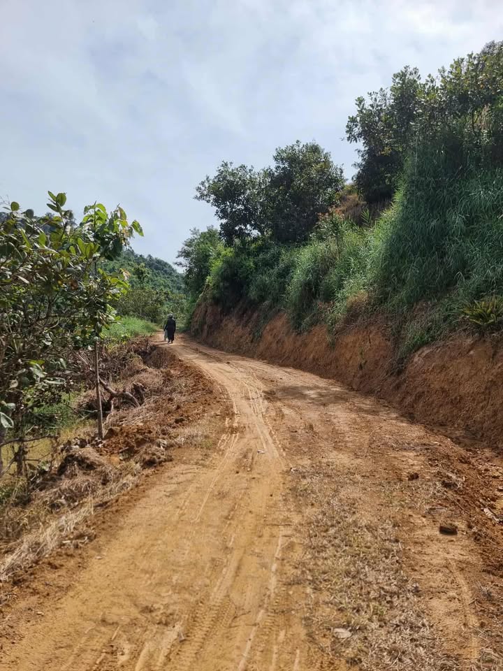 Đất nông nghiệp 4ha xã An Nhơn, Đạ Tẻh - Giá chỉ 750 triệu - Tiềm năng đầu tư hấp dẫn!