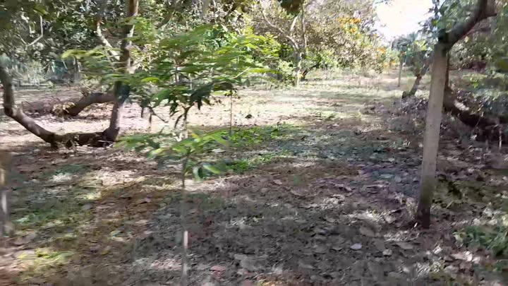 Đất nền Phước Cát, 1875m² chỉ 750 triệu - Đầu tư sinh lời hấp dẫn!