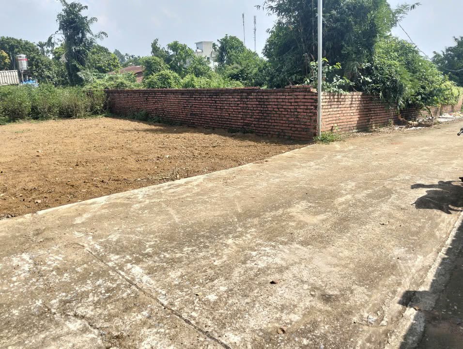 Đất thổ cư 100m² tại Phú Cát, Quốc Oai - Giá chỉ 3 tỷ, ô tô vào tận nơi!