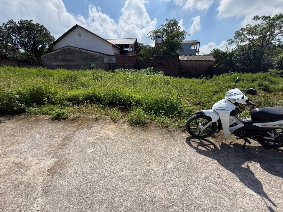 Đất nền Hiền Ninh, Sóc Sơn 58.8m² giá 1 tỷ - Cơ hội đầu tư tuyệt vời!