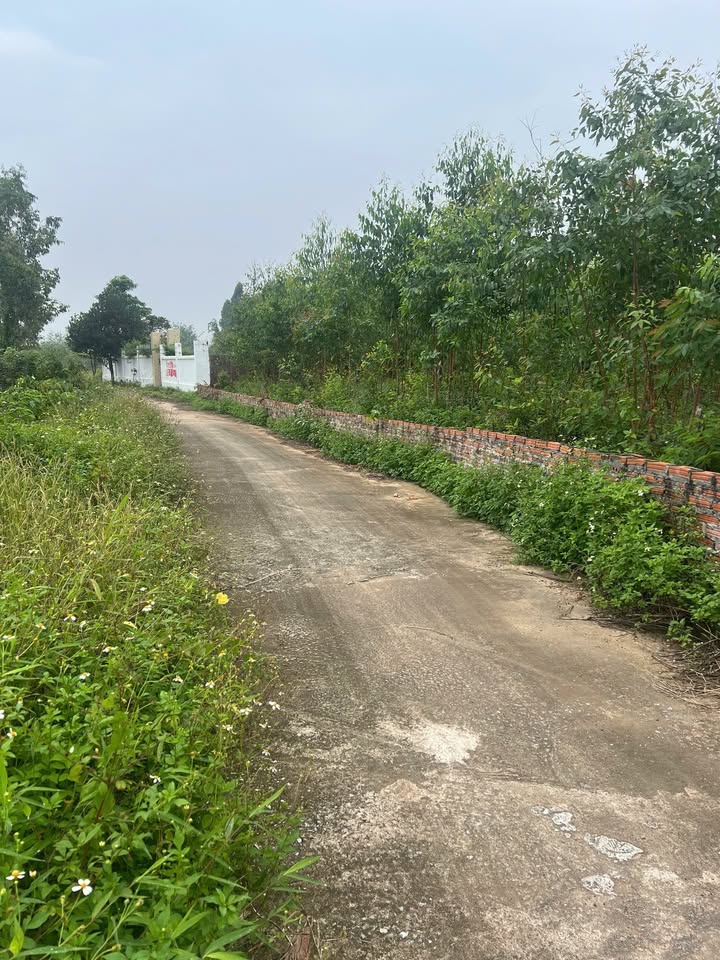 Đất nền Minh Trí, Sóc Sơn 1482m² giá chỉ 7.41 tỷ - Cơ hội đầu tư tuyệt vời!