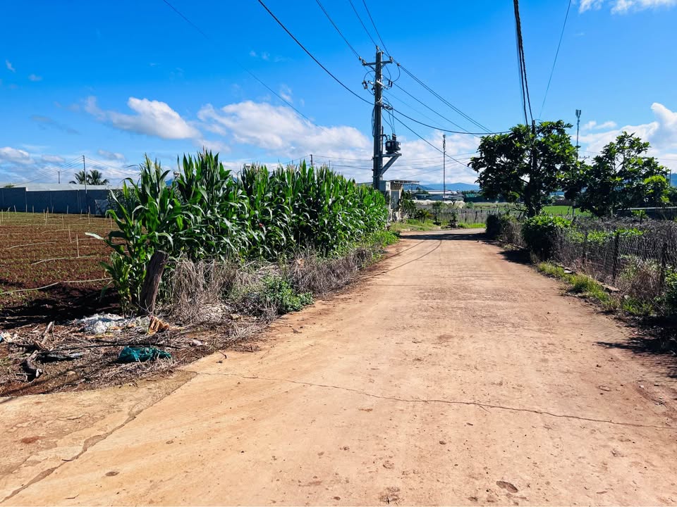 Đất nền góc 2 mặt tiền tại Phú Hội, Đức Trọng 300m² giá chỉ 2.5 tỷ - Cơ hội đầu tư hiếm có!