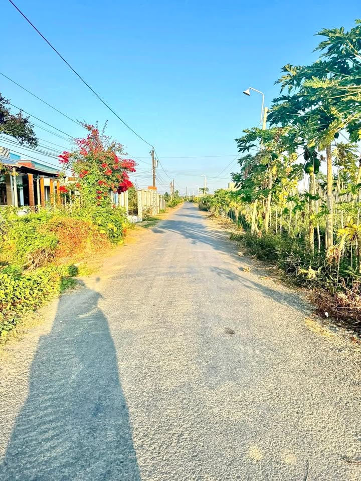 Đất thổ cư Tân Đông, Gò Công Đông 317m² giá 350 triệu - Cơ hội đầu tư hấp dẫn!