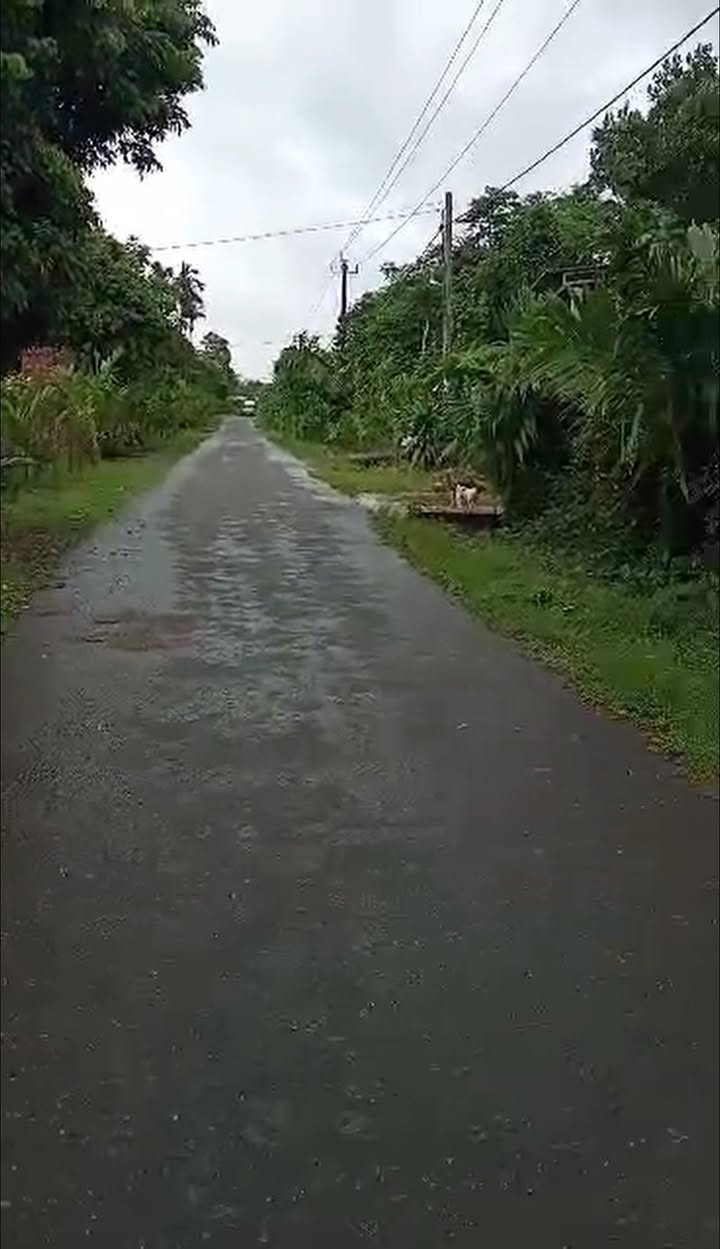 Nhà mặt tiền đường An Nha, Đông Hà 240m² - Giá chỉ 4xx triệu, cơ hội vàng đầu tư!