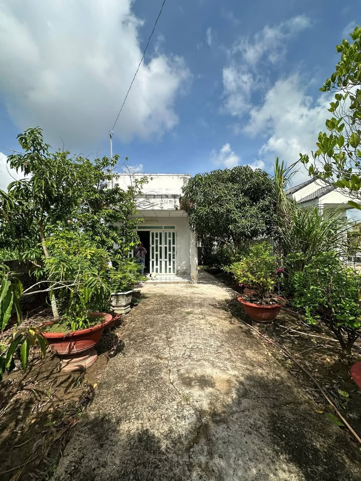 Nhà riêng xã Phước Hiệp, Củ Chi 208m² giá 1.05 tỷ - Hướng Đông mát mẻ!