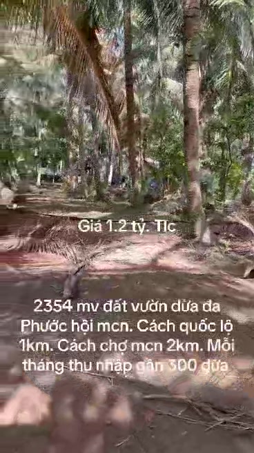 Đất Farm Đa Phước Hội, Mỏ Cày Nam 2354m² chỉ 1.2 tỷ - Vườn dừa xanh mát!