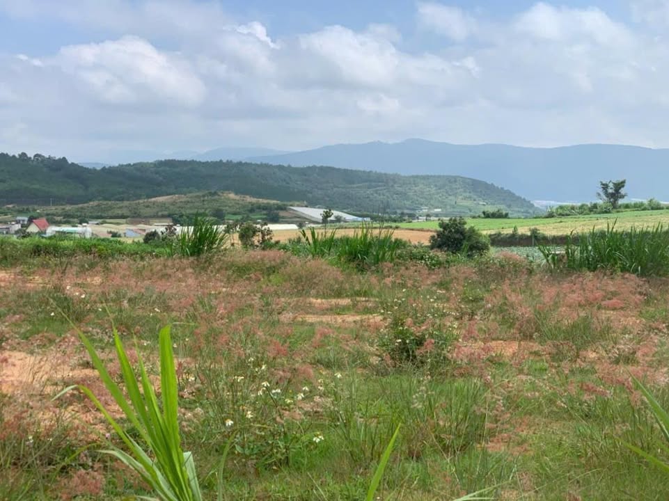 Đất 2 mặt tiền Ka Đơn, Đơn Dương 1600m² giá 1,2 tỷ - Cơ hội đầu tư hiếm có!