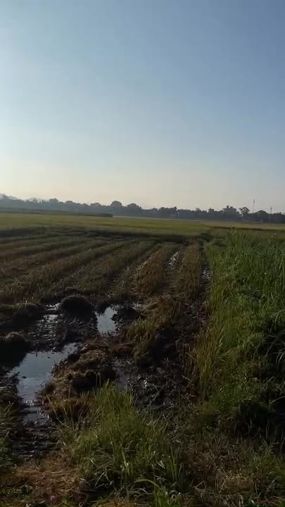 Đất nền Kim Tân Thạch Thành 200m² giá 800 triệu - Cơ hội đầu tư tuyệt vời!