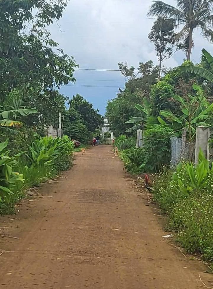 Đất thổ cư 125m² tại Buôn Riêng A, Krông Pắc - Cách quốc lộ 26 chỉ 1km chỉ 379 triệu!