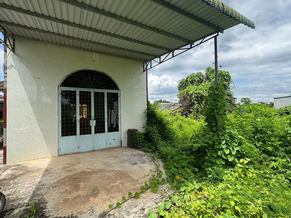 Đất thổ cư 300m² tại Tân Phú, Định Quán - Đầu tư sinh lời ngay!