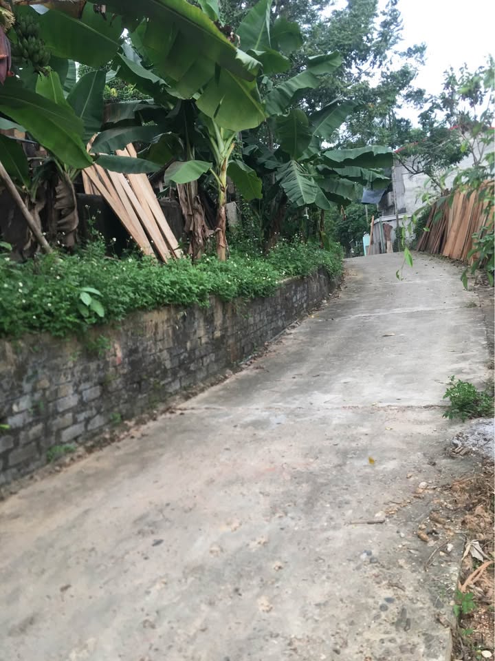 Đất nền Trung Môn, Yên Sơn 170m² giá 1 tỷ - Sổ đỏ chính chủ, thương lượng ngay!