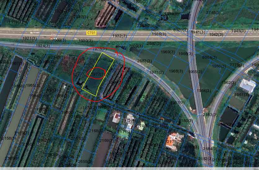 Đất nền chính chủ Tân Hội, Cai Lậy 1900m² giá chỉ 1x tỷ - Cơ hội đầu tư hấp dẫn!