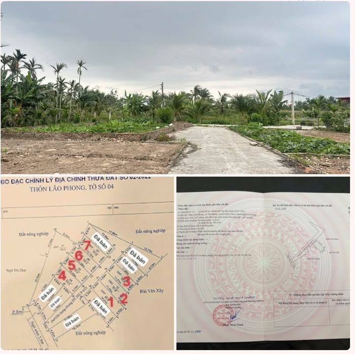 Đất nền Tân Phong - Kiến Thụy 52m² giá chỉ 600 triệu - Cơ hội vàng cho nhà đầu tư!