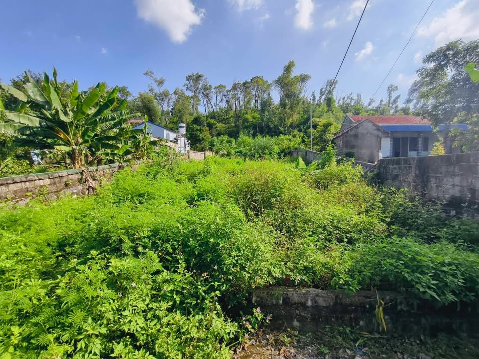 Đất Lưu Kiếm Thủy Nguyên 500m² giá 2 tỷ - Tiềm năng đầu tư vượt trội!