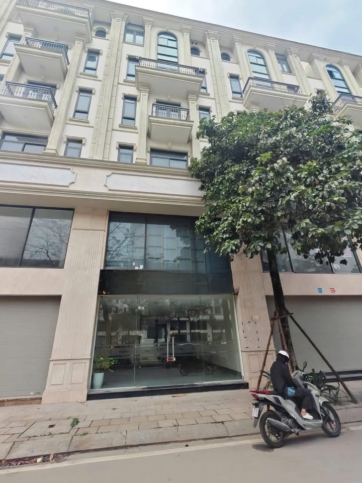 Shophouse cho thuê đường Nguyễn Thanh Bình, 100m² giá thỏa thuận - Kinh doanh sầm uất!