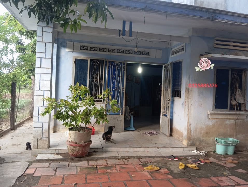 Đất tặng nhà cấp 4 tại Phước Mỹ, Phan Rang, 609m² chỉ 1 tỷ - Đầu tư sinh lời!