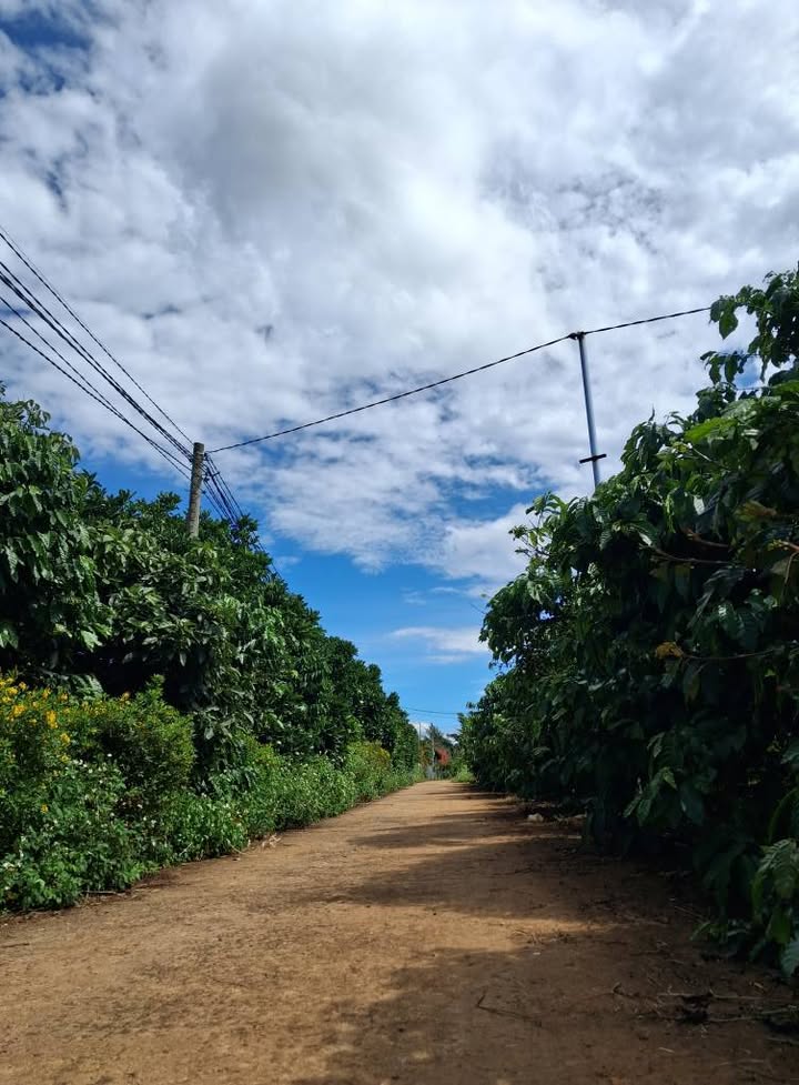 Đất sào tại khu phố 32, Liên Nghĩa, Đức Trọng 4910m² giá 5.1 tỷ - Cơ hội đầu tư hấp dẫn!