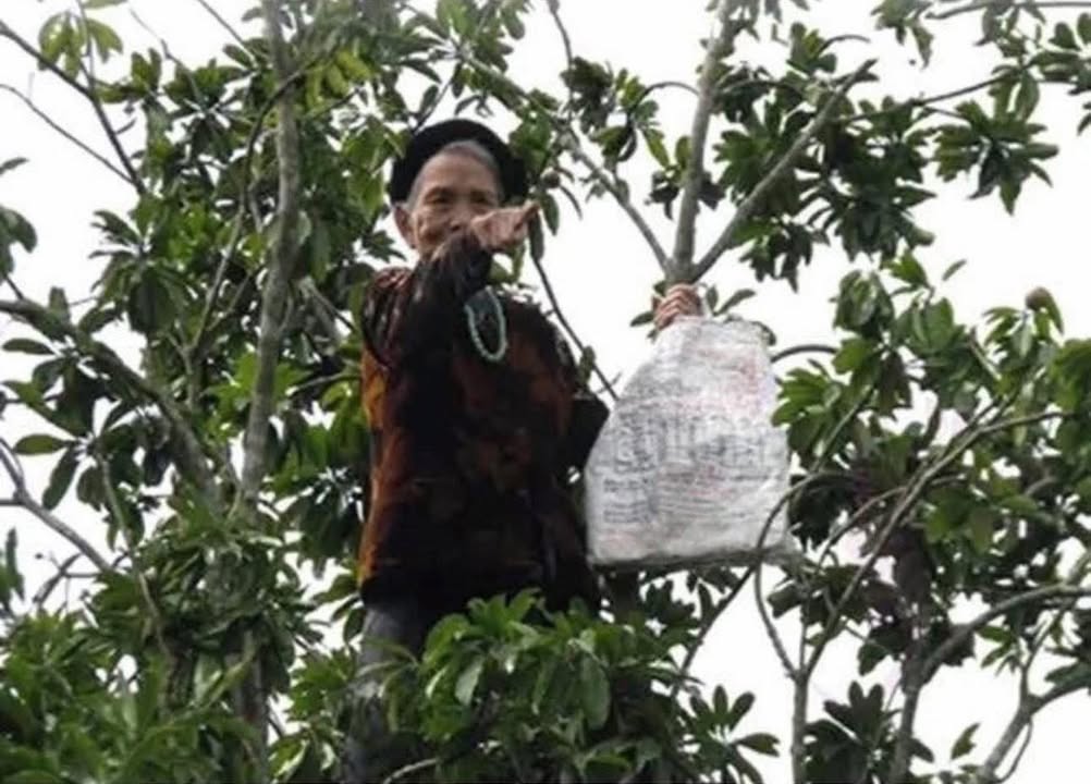 Đất nền thôn Cao Đường, Lương Sơn 1080m² - Giá chỉ 2.592 tỷ, đầu tư sinh lời ngay!