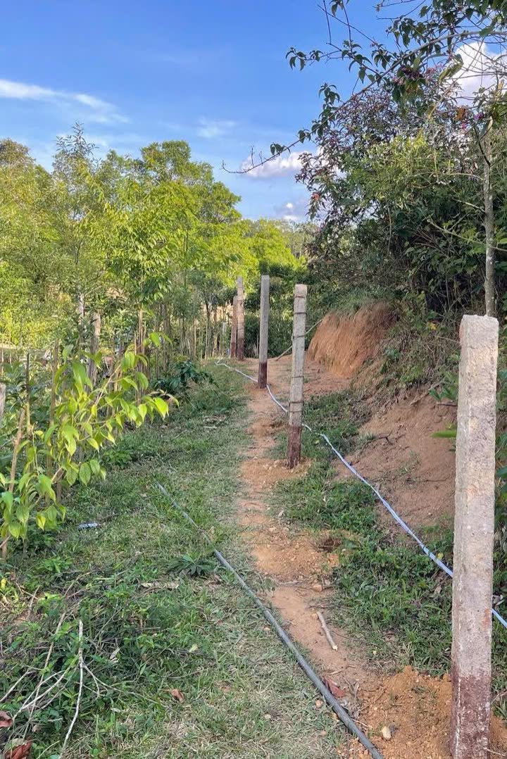 Đất nền tại Măng Đen, Kon Plông 9.900m² - Vị trí đắc địa cho đầu tư du lịch!