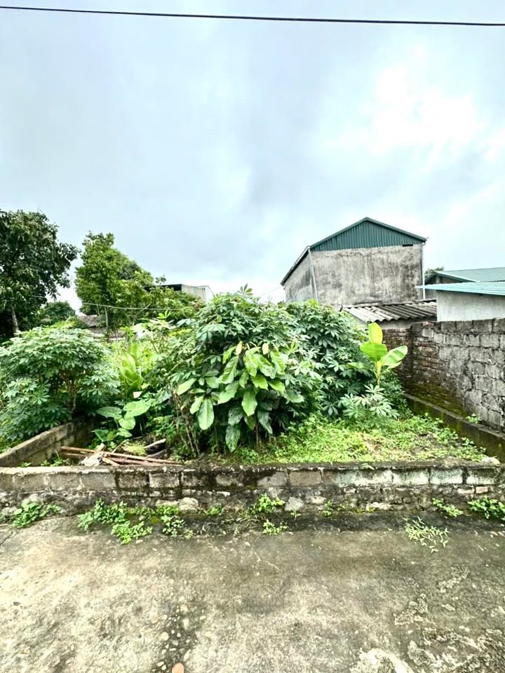 Đất thổ cư Dân Chủ Hòa Bình 236m² giá 1 tỷ - Cơ hội đầu tư hấp dẫn!