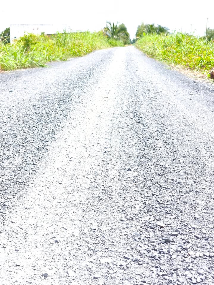 Đất vườn xã Mỹ Thạnh, huyện Thủ Thừa 6790m² giá 3 tỷ - Kinh doanh nhà vườn lý tưởng!