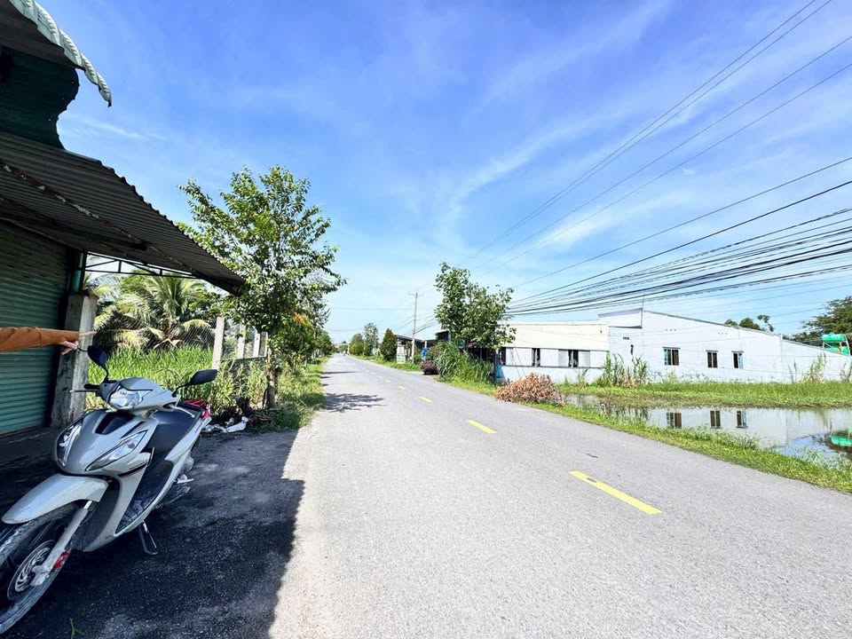 Đất nền Mỹ Hạnh, Đức Hòa 1440m² giá 320 triệu - Cơ hội đầu tư hấp dẫn!