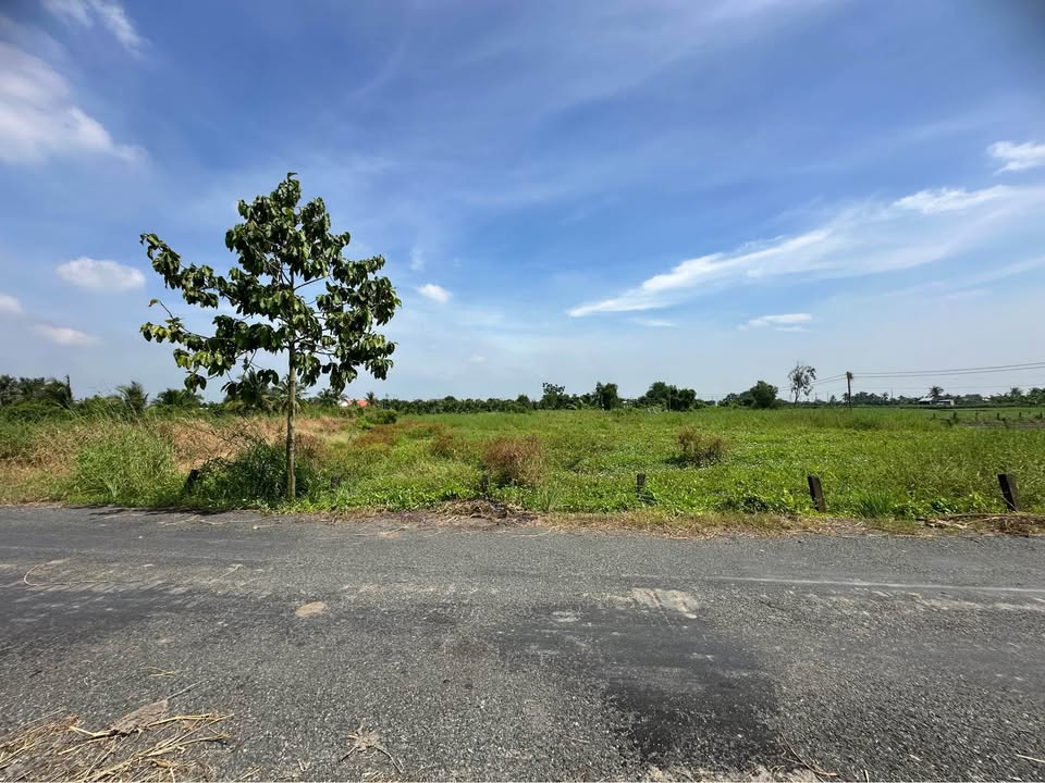 Đất nền 2 mặt tiền Khương Minh Ngọc, An Vĩnh Ngãi, 24000m² giá 10.68 tỷ - Pháp lý rõ ràng, đầu tư sinh lời!