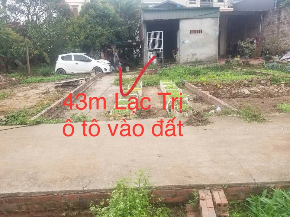 Đất thổ cư Lạc Trị Phúc Thọ 43m² giá 2 tỷ - Chính chủ bán nhanh!