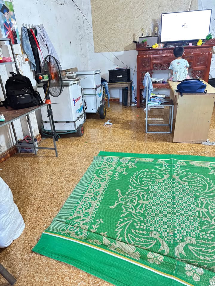 Đất nền đường Kim Đồng, phường Hợp Giang, 168.9m² - Cơ hội đầu tư tuyệt vời!